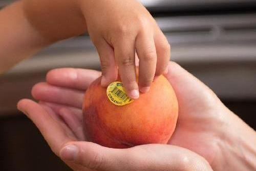 Child picking organic sticker off of a peach that is being held by a woman's hands. 
