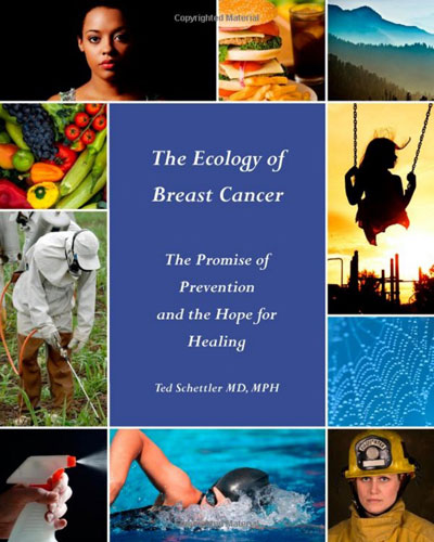 The Ecology of Breast Cancer book cover